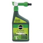 Evergreen Spray & Feed 1L