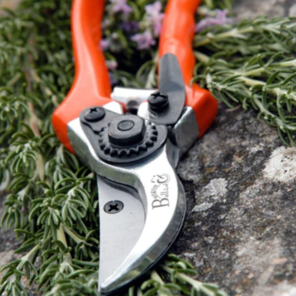 RHS Bypass Secateur Replacement Blade And Spare Spring - Image 3