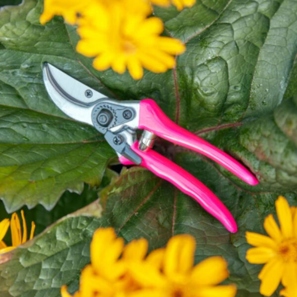 Florabrite Bypass Secateurs Pink - Image 3