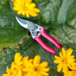 Florabrite Pocket Pruner Pink - Image 3
