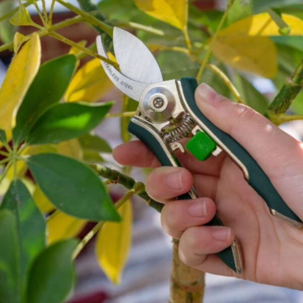Houseplant Pruner - Image 4