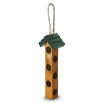 Suet Log Feeder