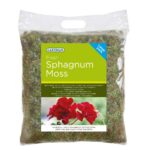 Fresh Sphagnum Moss Large
