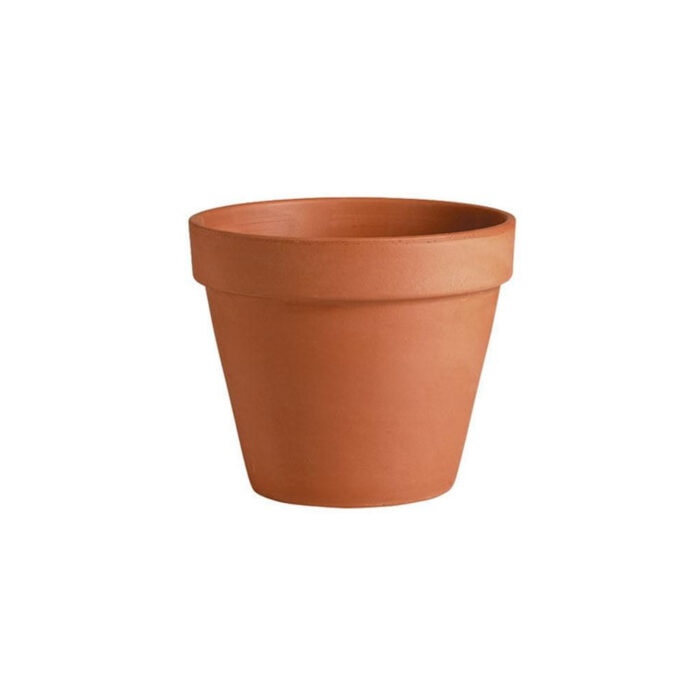 Standard Pot Standard Pot Cotto 53cm - Capital Gardens