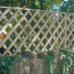 Heavy Duty Lattice Pressure Treated Trellis 6X1 - Image 2