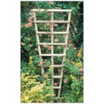 Heavy Fan Press. Treated Trellis 6X2