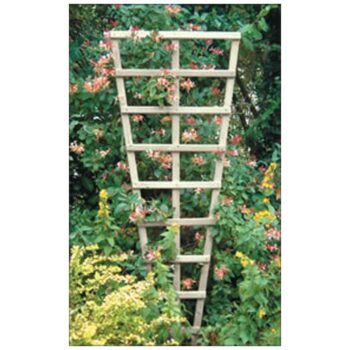 Heavy Fan Press. Treated Trellis 6X3