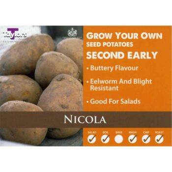 Nicola X 10 Second Earlies Taster Pack