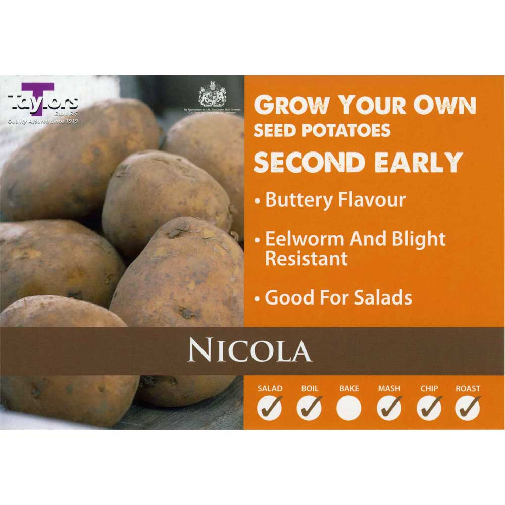 Nicola X 10 Second Earlies Taster Pack Nicola X 10 Second Earlies Taster Pack