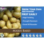 Maris Bard X 10 First Earlies Taster Pack