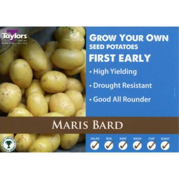 Maris Bard X 10 First Earlies Taster Pack