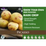 Picasso X 10 Main Crop Taster Pack