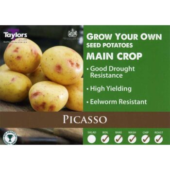 Picasso X 10 Main Crop Taster Pack