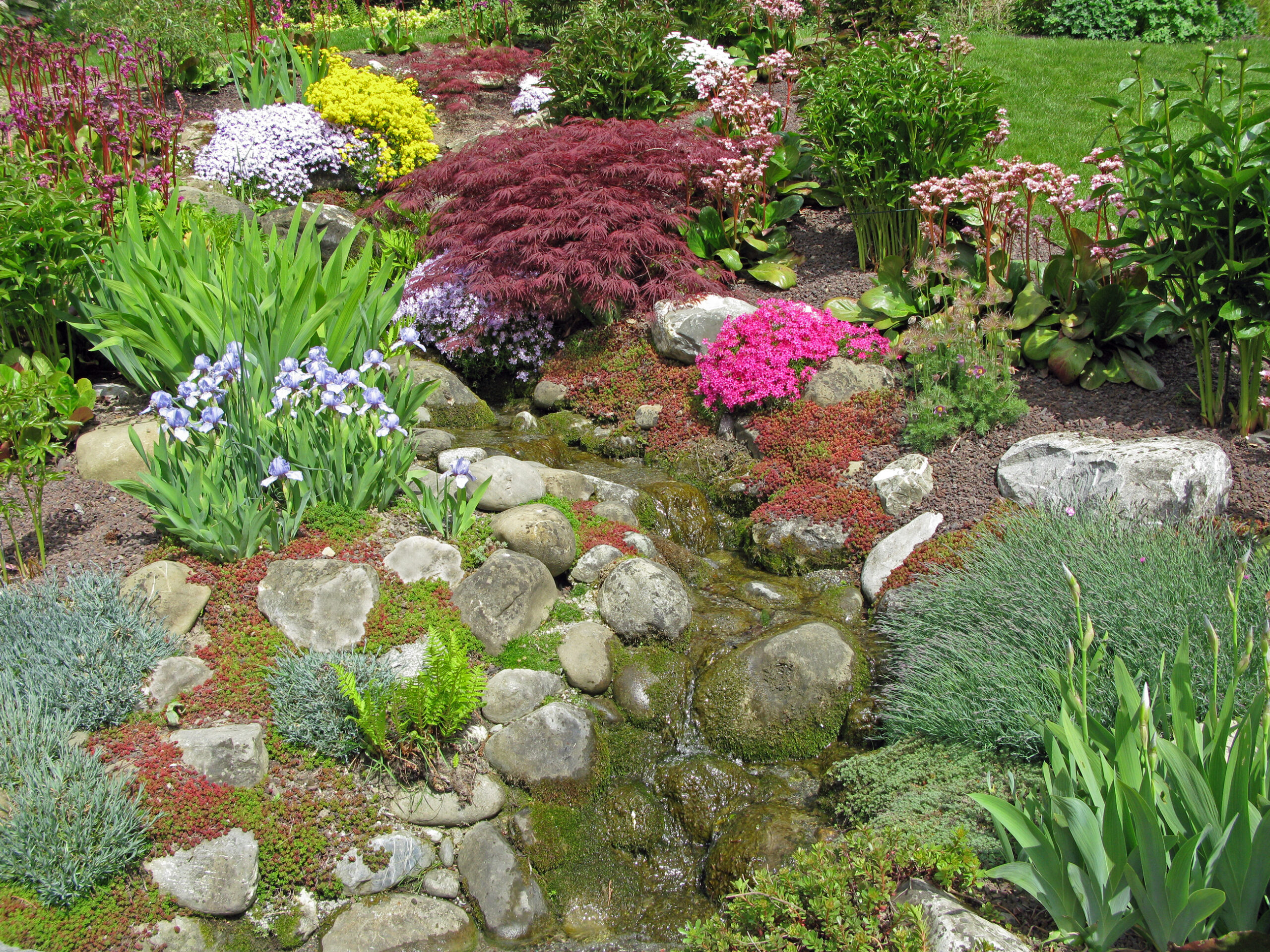 building your own rock garden - capital gardens