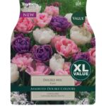 Tulip Double Mix