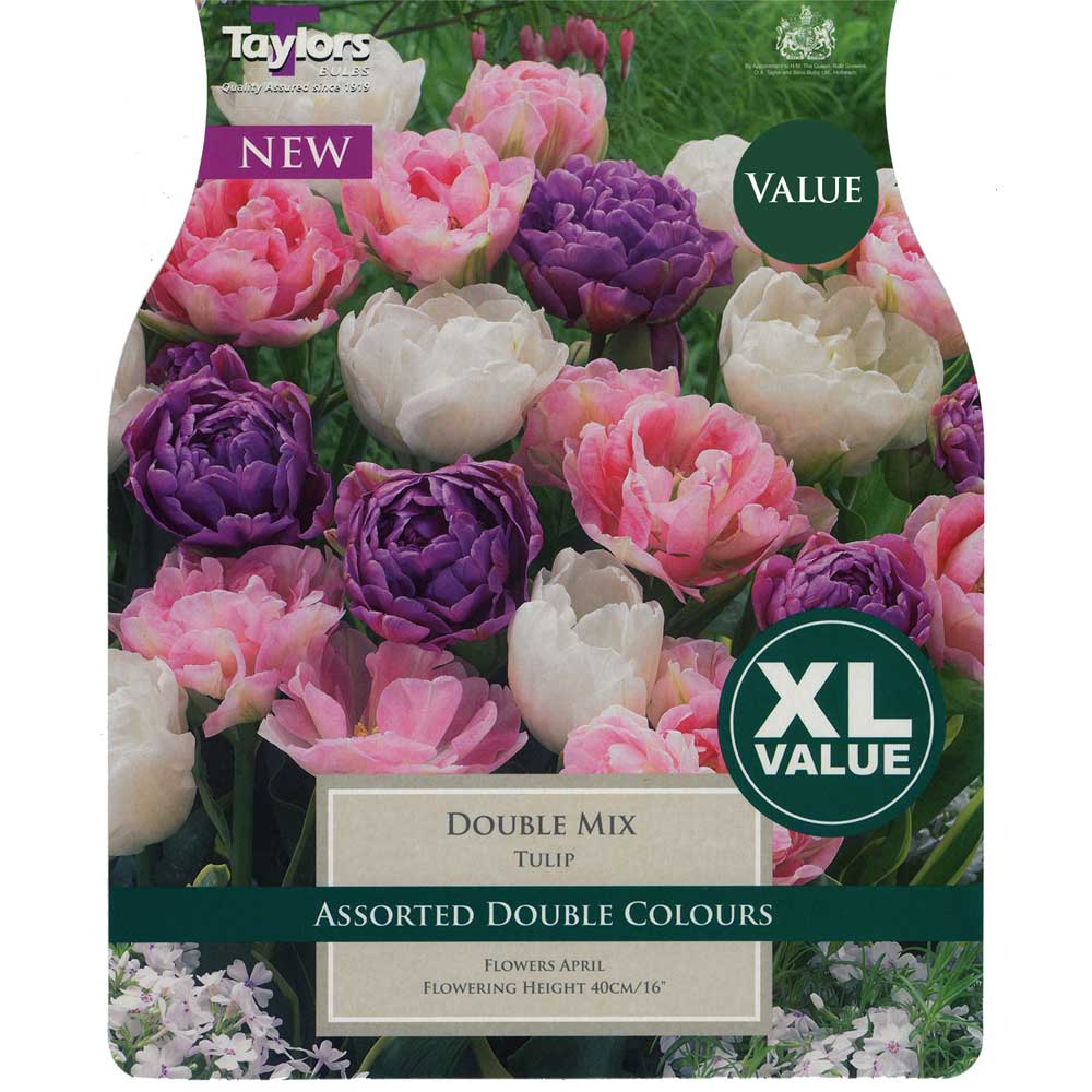 Tulip Double Mix Tulip Double Mix