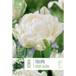 Tulip Double Mount Tacoma