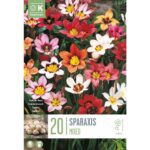 Sparaxis Mixed