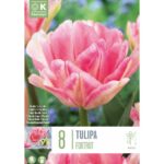 Tulip Double Foxtrot