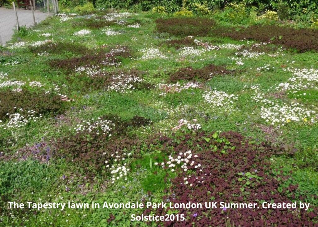 The Tapestry lawn in Avondale Park London UK Summer. Created by Solstice2015