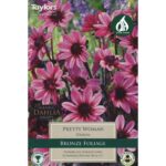 Dahlia Pretty Woman