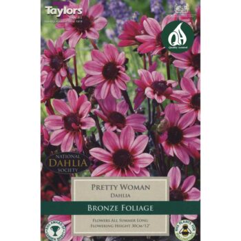 Dahlia Pretty Woman