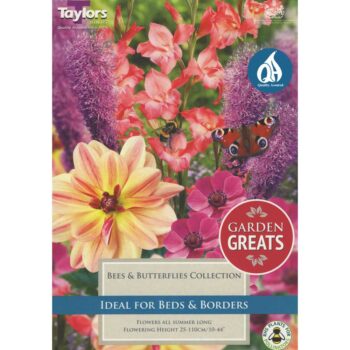Bees And Butterflies Collection