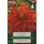 Dahlia Show 'N' Tell