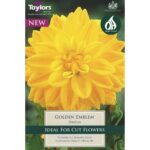 Dahlia Golden Emblem