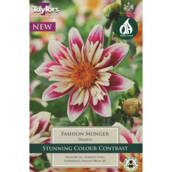 Dahlia Fashion Monger