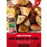 Red Duke of York 2kg First Earlies Net