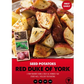 Red Duke of York 2kg First Earlies Net