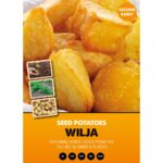 Wilja 2kg Second Earlies Net