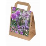 Blooms Bees & Butterflies Garden Violet Pink