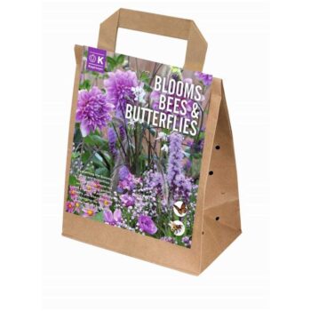 Blooms Bees & Butterflies Garden Violet Pink