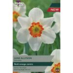 Narcissi June Allyson