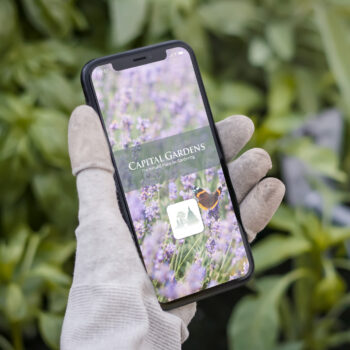 App_Phone_Mock_Up App_Phone_Mock_Up