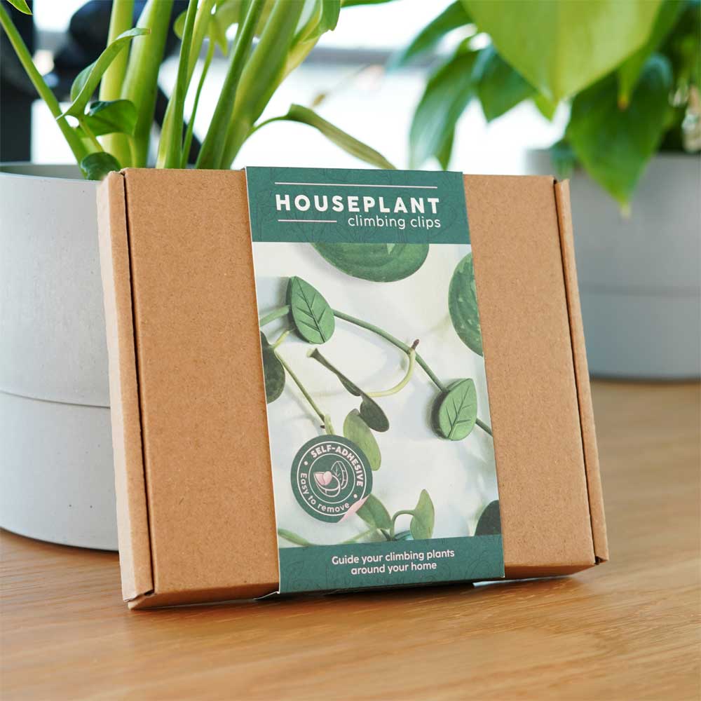 Houseplant Climbing Clips Houseplant Climbing Clips