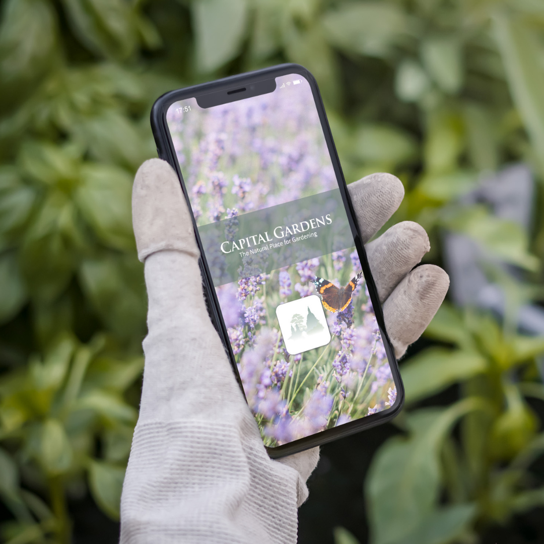 Capital Gardens Privilege App