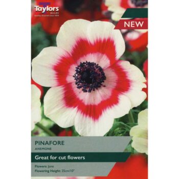 Anemone Pinafore