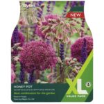 Allium Honey Pot
