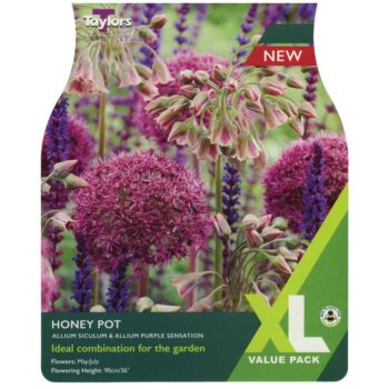 Allium Honey Pot