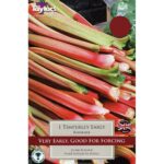 Rhubarb Timperley Early