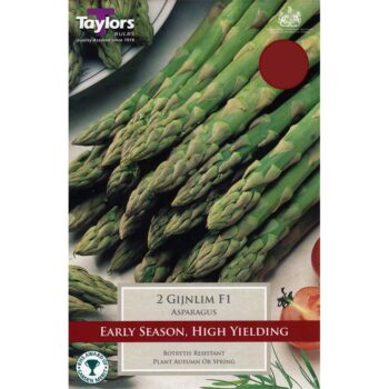 Asparagus Gijnlim F1 Hybrid