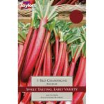 Rhubarb Red Champagne