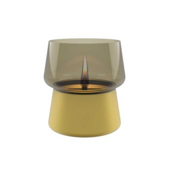 Amaryllis 14 Gold Champagne