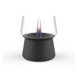 Amaryllis 10 Black