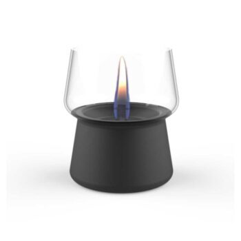 Amaryllis 10 Black