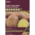 Alouette Taster Main Crop