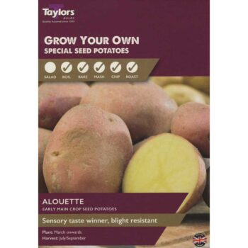 Alouette Taster Main Crop